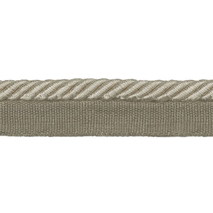 Barodet Cord Trim by Brunschwig & Fils in Dove