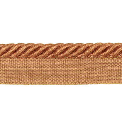 Barodet Cord Trim by Brunschwig & Fils in Saffron
