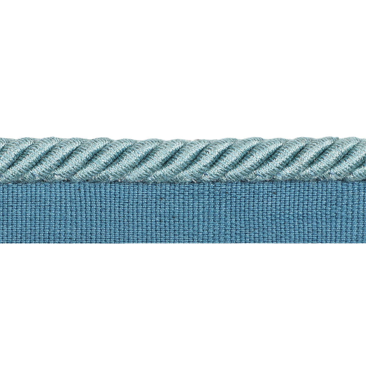 Barodet Cord Trim by Brunschwig & Fils in Aqua