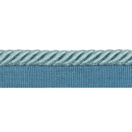 Barodet Cord Trim by Brunschwig & Fils in Aqua
