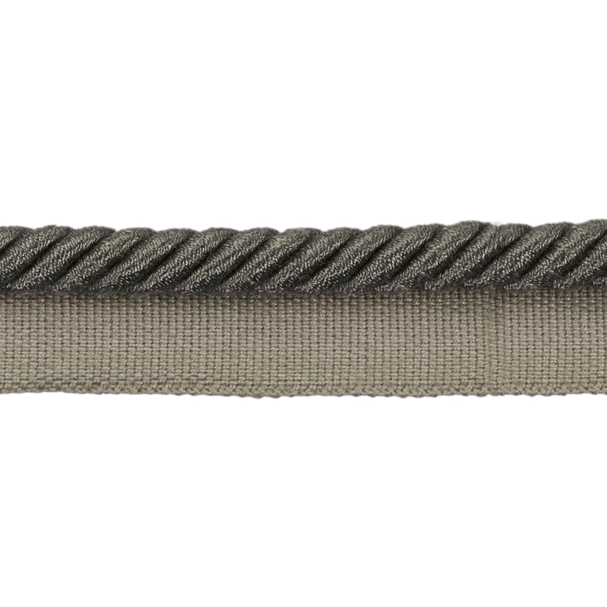 Barodet Cord Trim by Brunschwig & Fils in Charcoal