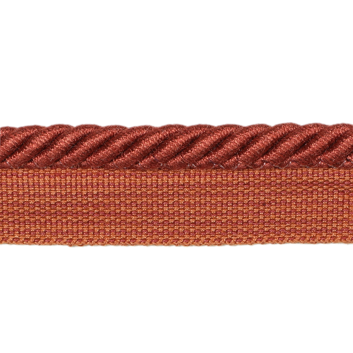 Barodet Cord Trim by Brunschwig & Fils in Cinnamon