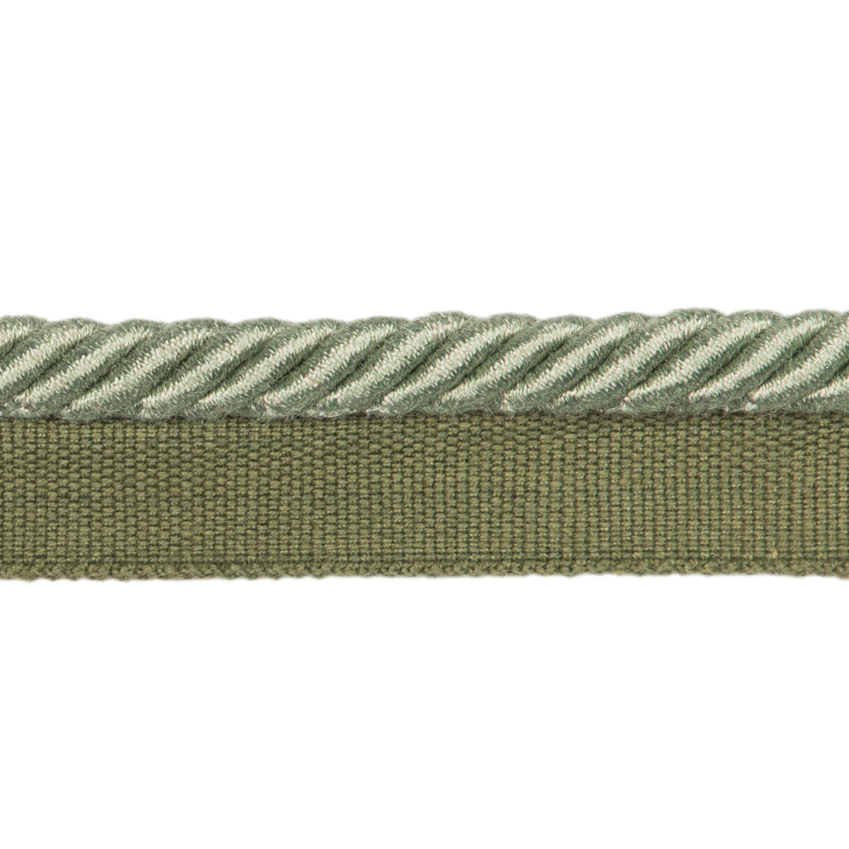 Barodet Cord Trim by Brunschwig & Fils in Sage
