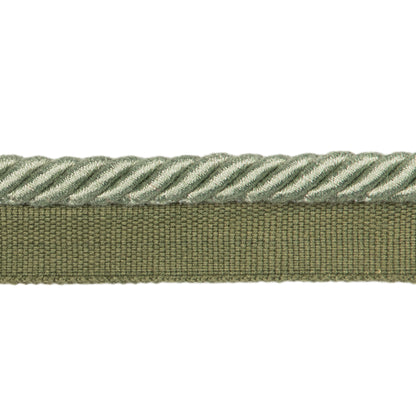 Barodet Cord Trim by Brunschwig & Fils in Sage