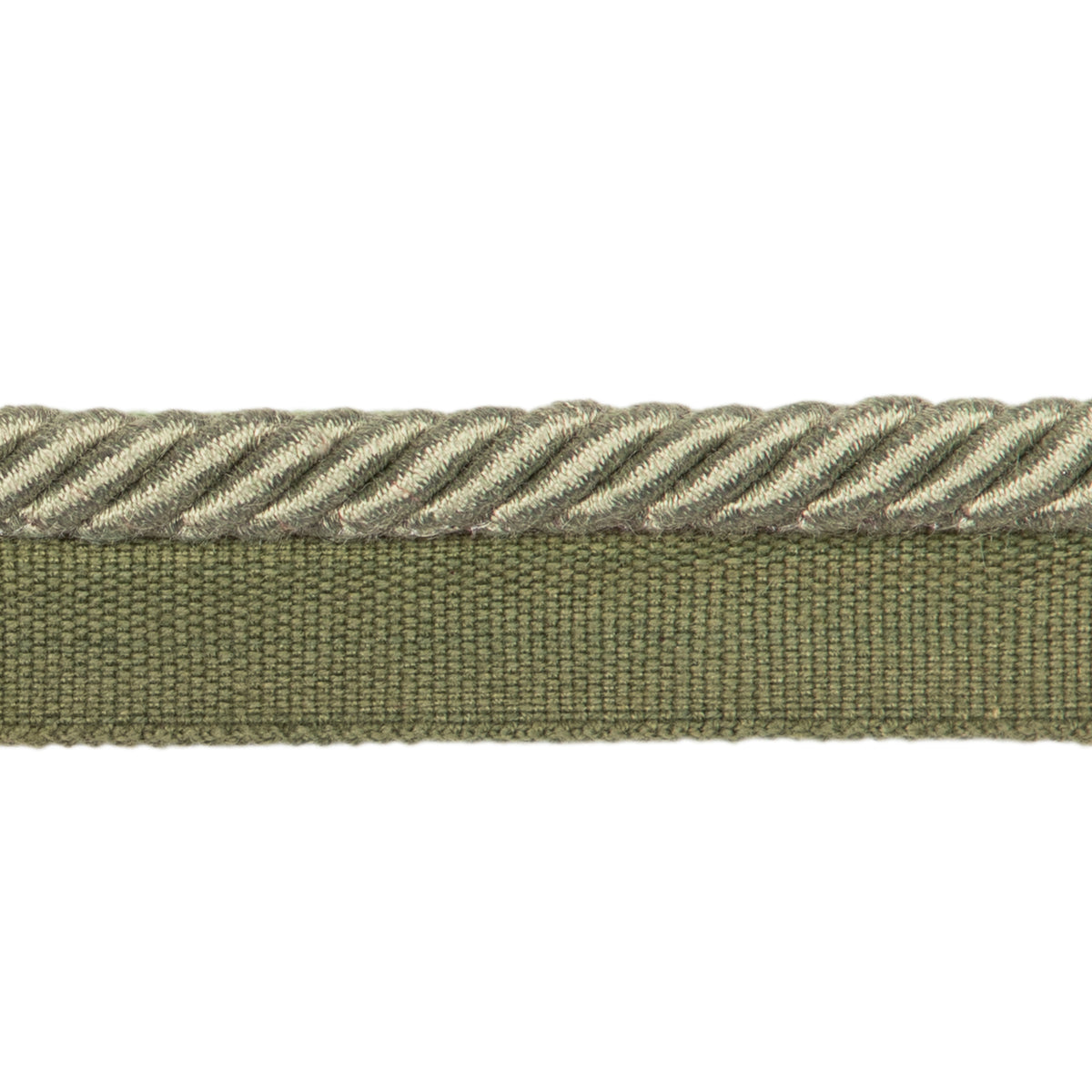 Barodet Cord Trim by Brunschwig & Fils in Olive