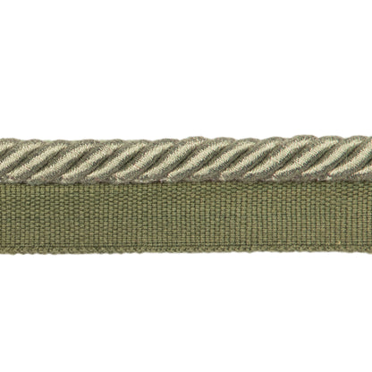 Barodet Cord Trim by Brunschwig & Fils in Olive