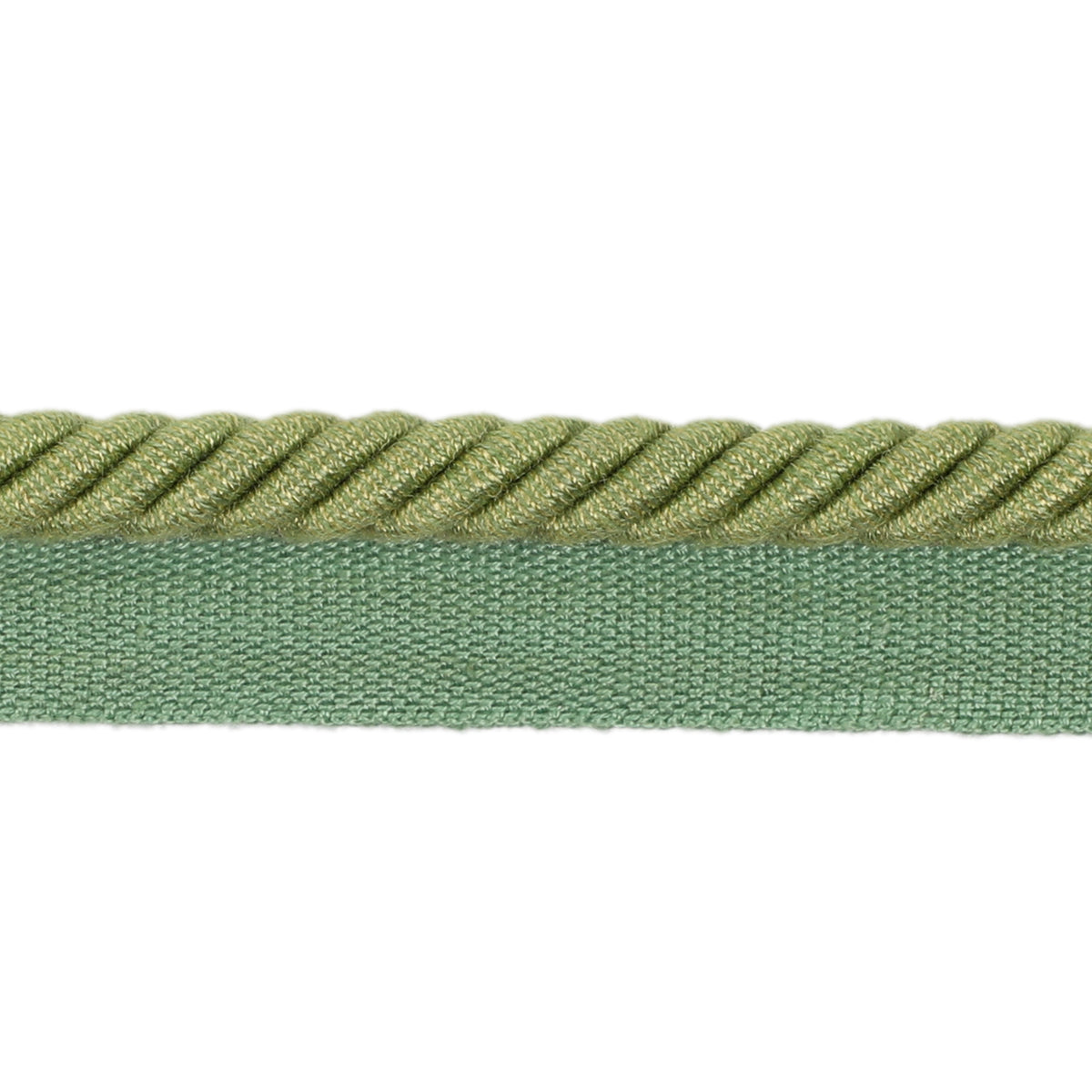 Barodet Cord Trim by Brunschwig & Fils in Leaf