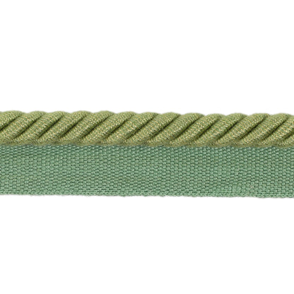 Barodet Cord Trim by Brunschwig & Fils in Leaf