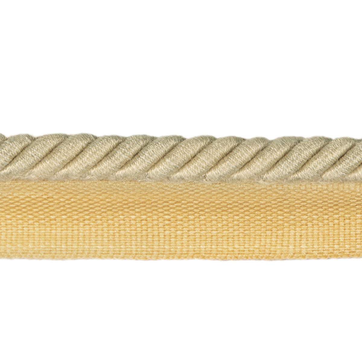 Barodet Cord Trim by Brunschwig & Fils in Cream