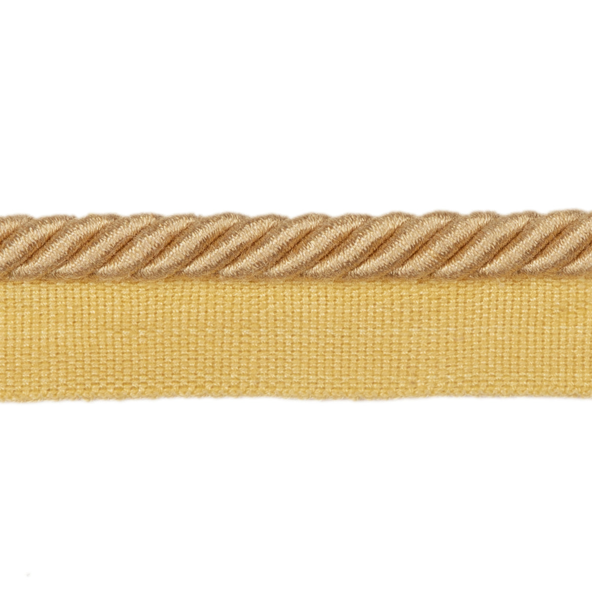 Barodet Cord Trim by Brunschwig & Fils in Yellow