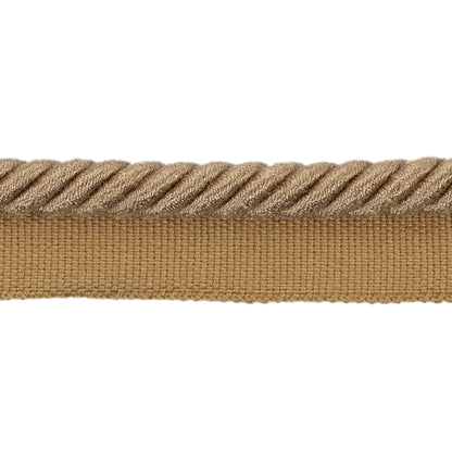 Barodet Cord Trim by Brunschwig & Fils in Brass