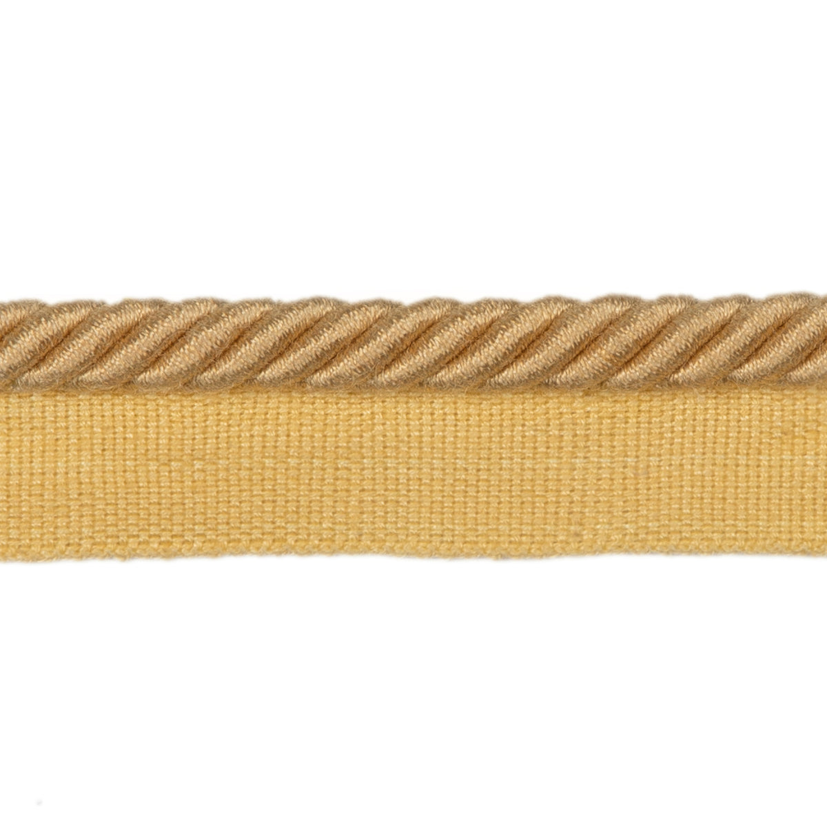Barodet Cord Trim by Brunschwig & Fils in Gold