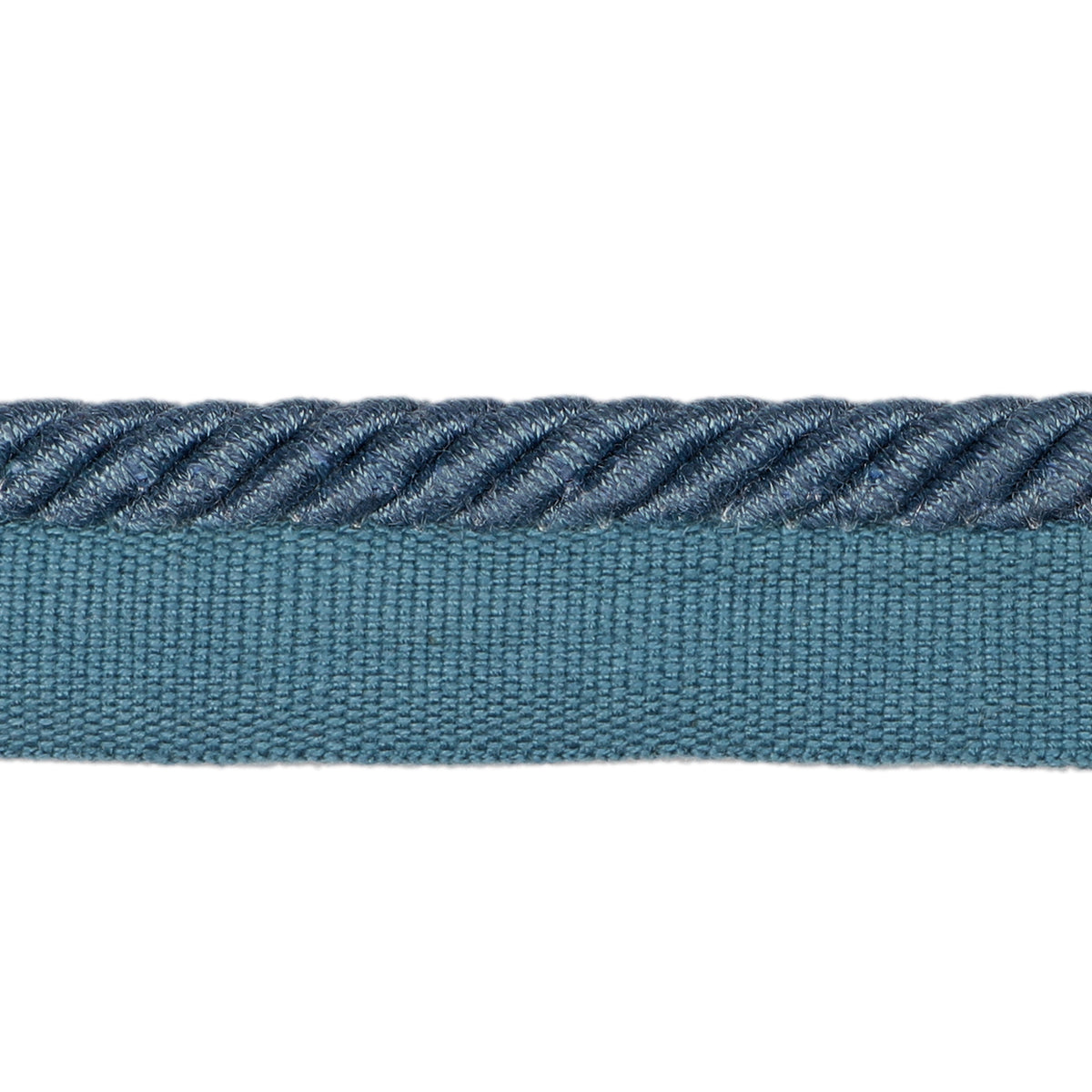 Barodet Cord Trim by Brunschwig & Fils in Blue