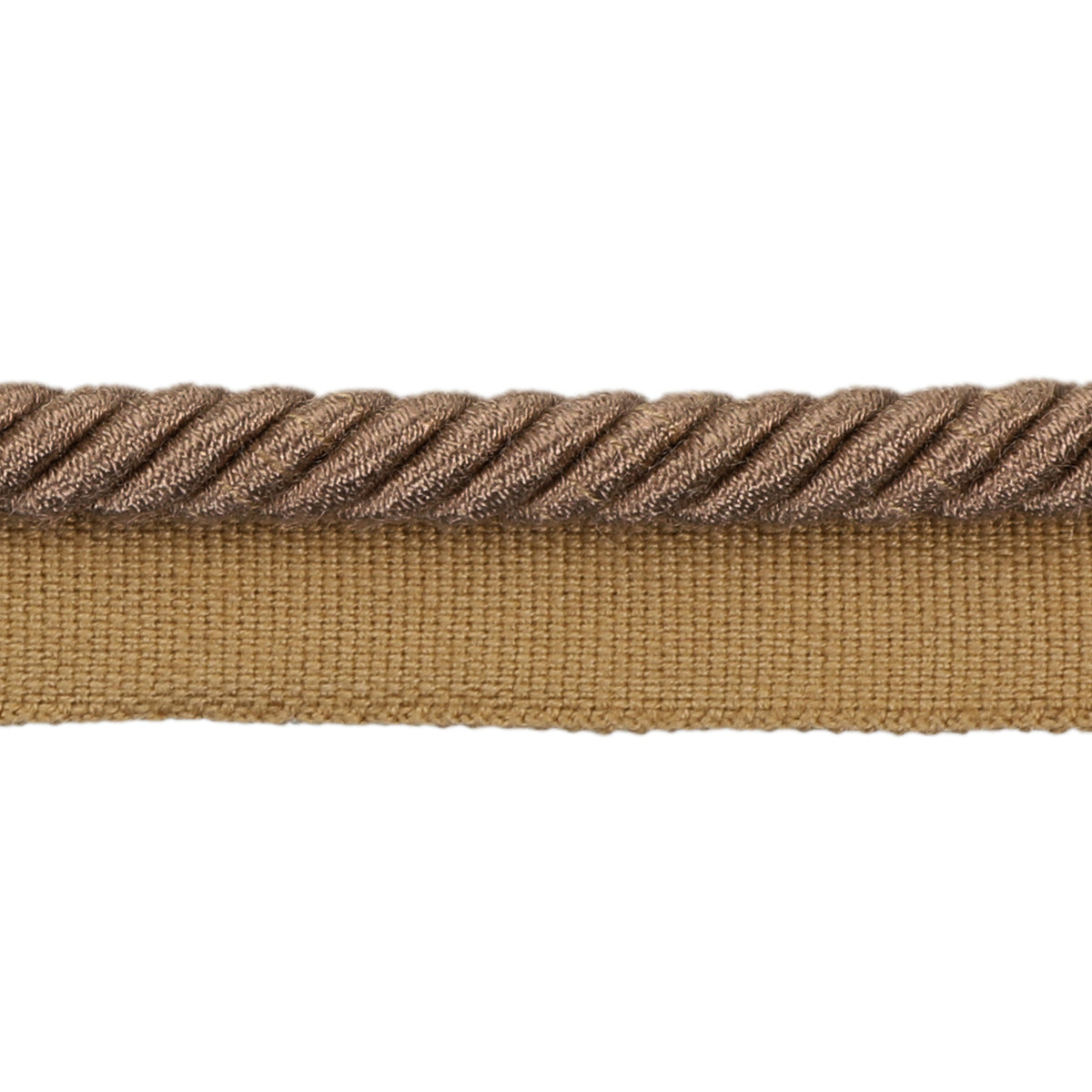 Barodet Cord Trim by Brunschwig & Fils in Brandy
