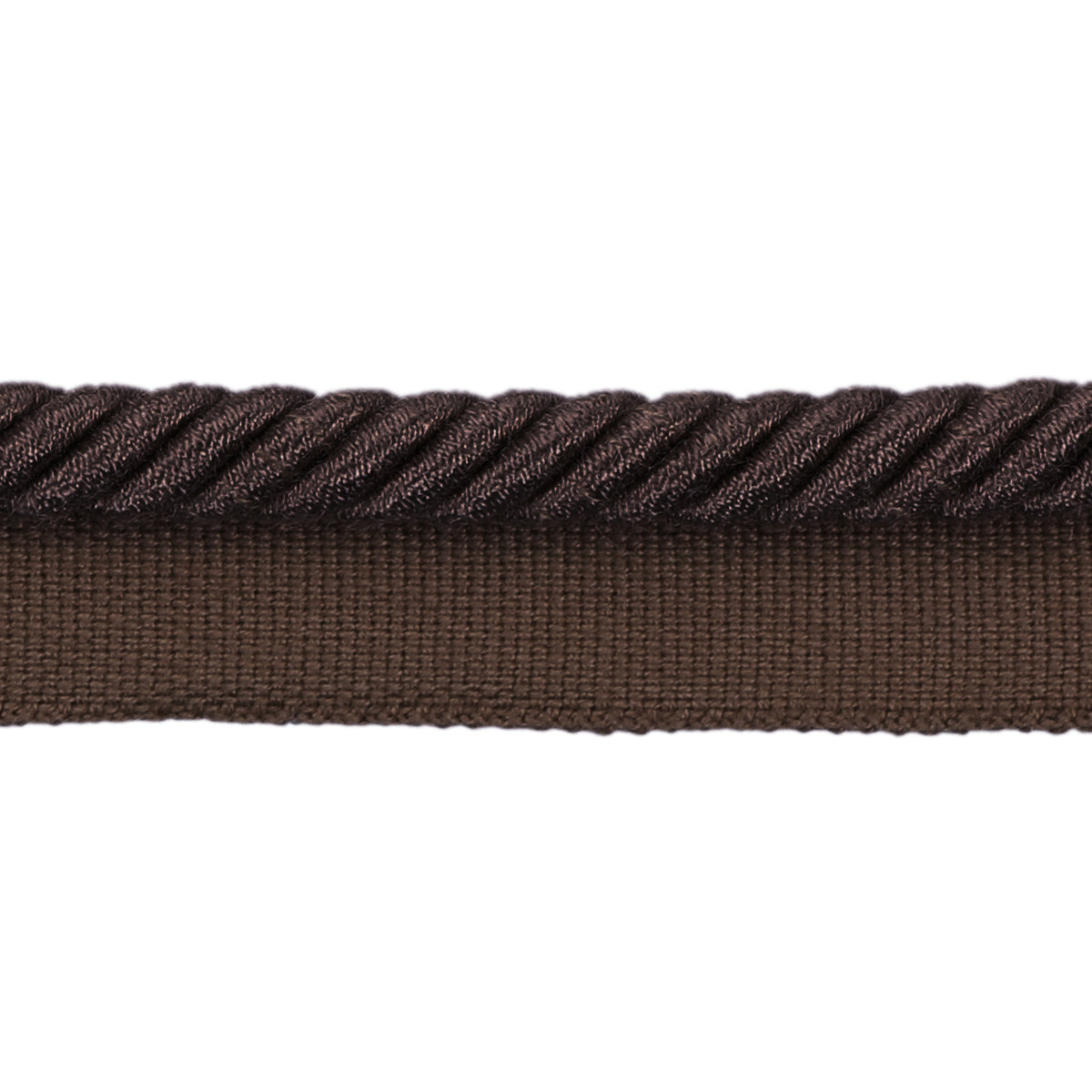 Barodet Cord Trim by Brunschwig & Fils in Cafe