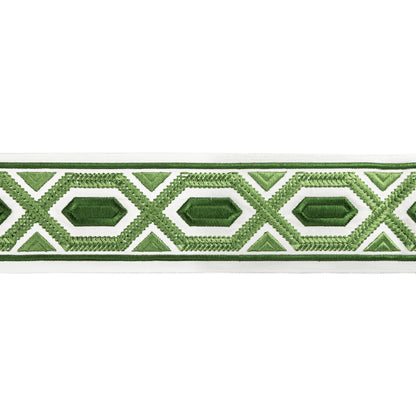 Avril Tape Trim by Brunschwig & Fils in Leaf