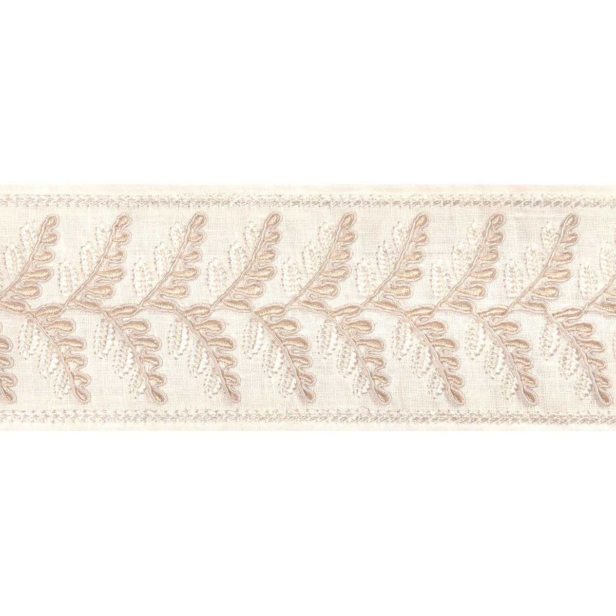 Fougere Border Trim by Brunschwig & Fils in Cream