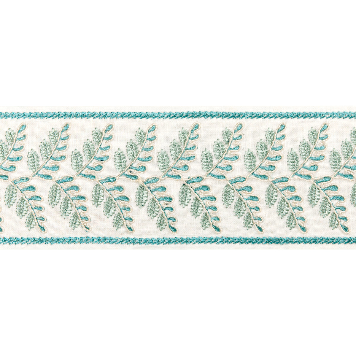 Fougere Border Trim by Brunschwig & Fils in Aqua