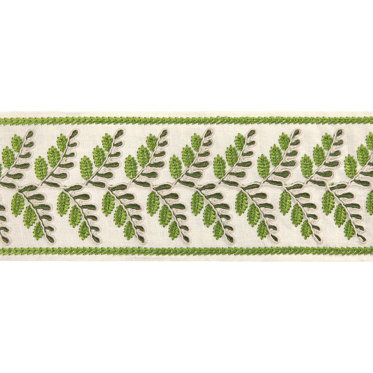 Fougere Border Trim by Brunschwig & Fils in Leaf