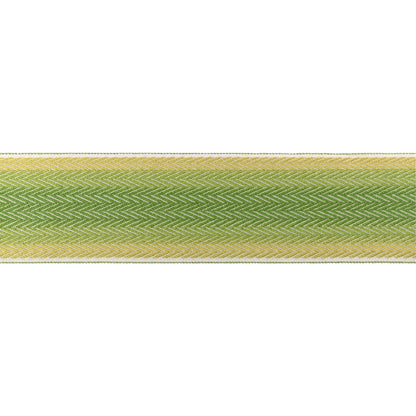 Barfleur Tape Trim by Brunschwig & Fils in Leaf