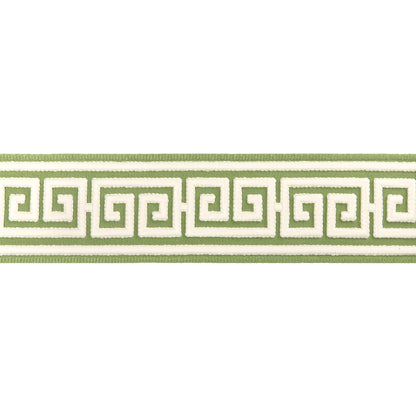 Paros Tape Trim by Brunschwig & Fils in Leaf
