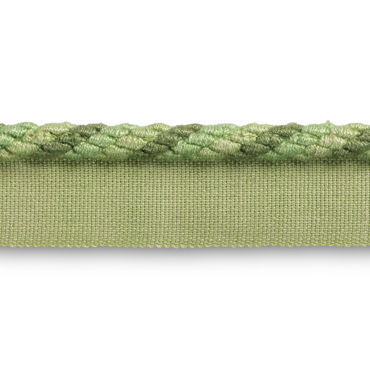Montcel Cord Trim by Brunschwig & Fils in Leaf
