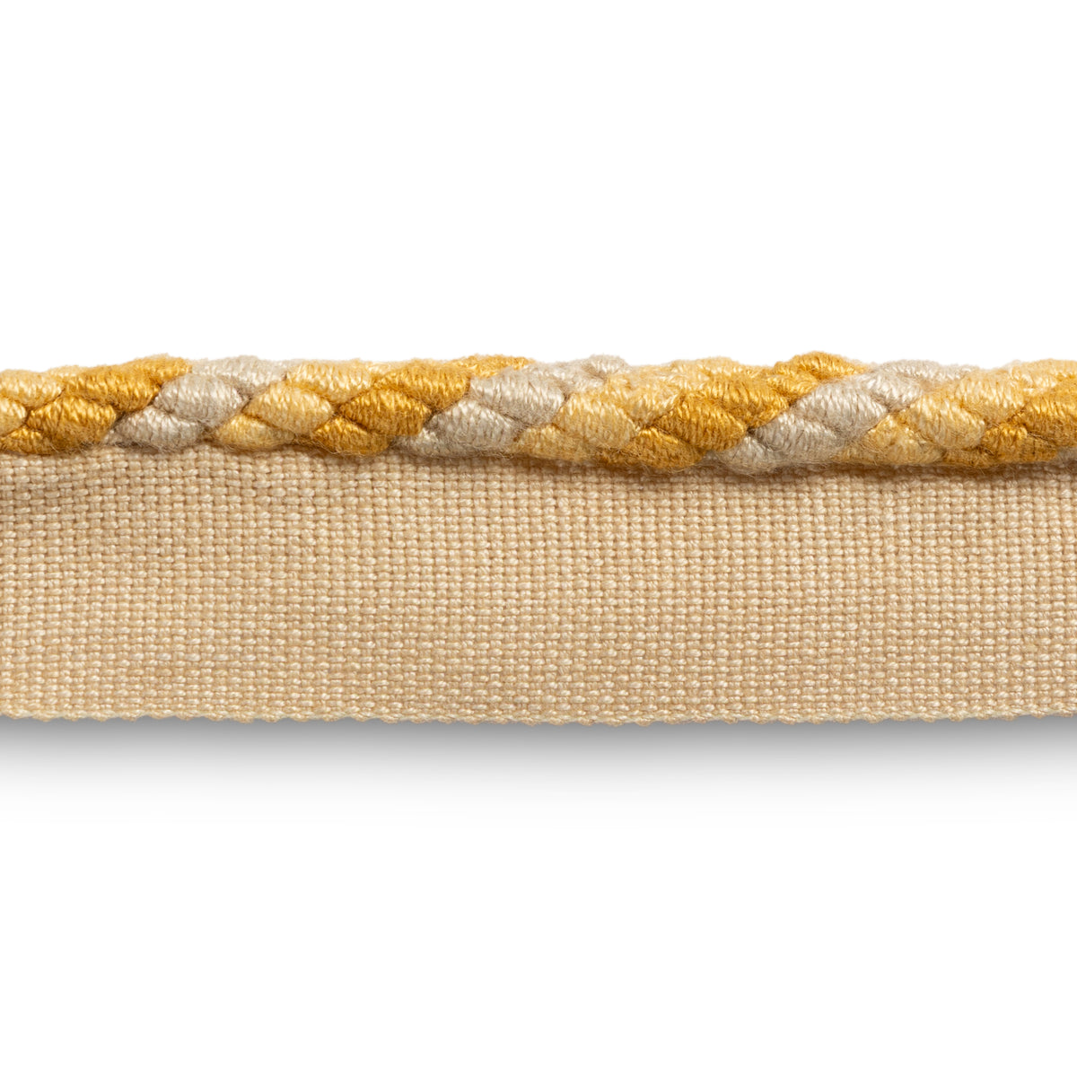 Montcel Cord Trim by Brunschwig & Fils in Gold