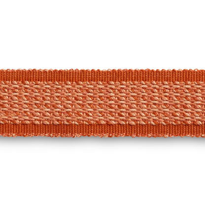 Montcel Braid Trim by Brunschwig & Fils in Spice
