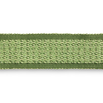 Montcel Braid Trim by Brunschwig & Fils in Leaf