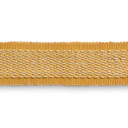 Montcel Braid Trim by Brunschwig & Fils in Gold