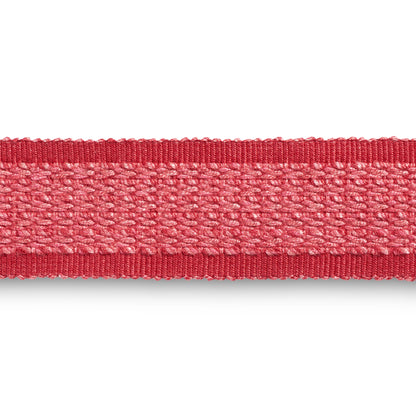 Montcel Braid Trim by Brunschwig & Fils in Rose