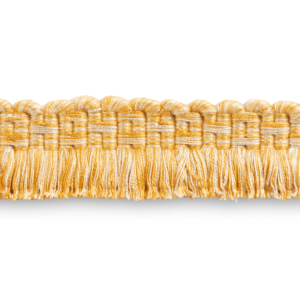 Montcel Brush Fringe Trim by Brunschwig & Fils in Gold