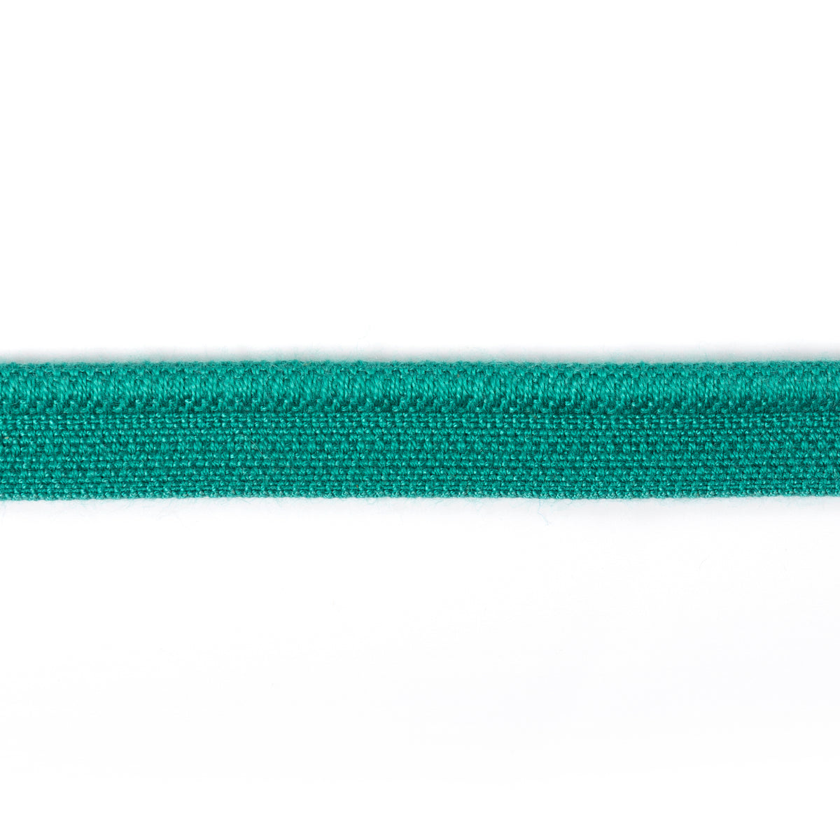 Savoie Cord Trim by Brunschwig & Fils in Aqua
