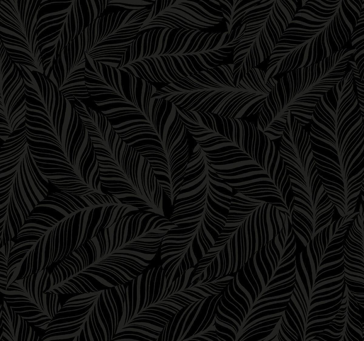 Rainforest Canopy Wallpaper