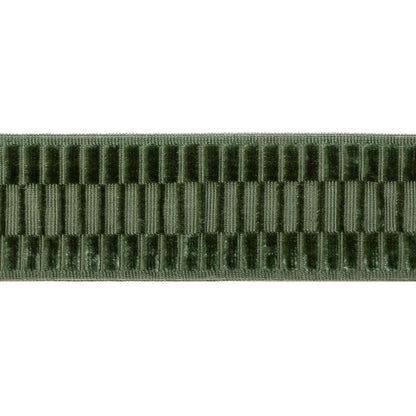 Elston Velvet Tape Trim by Lee Jofa in Green