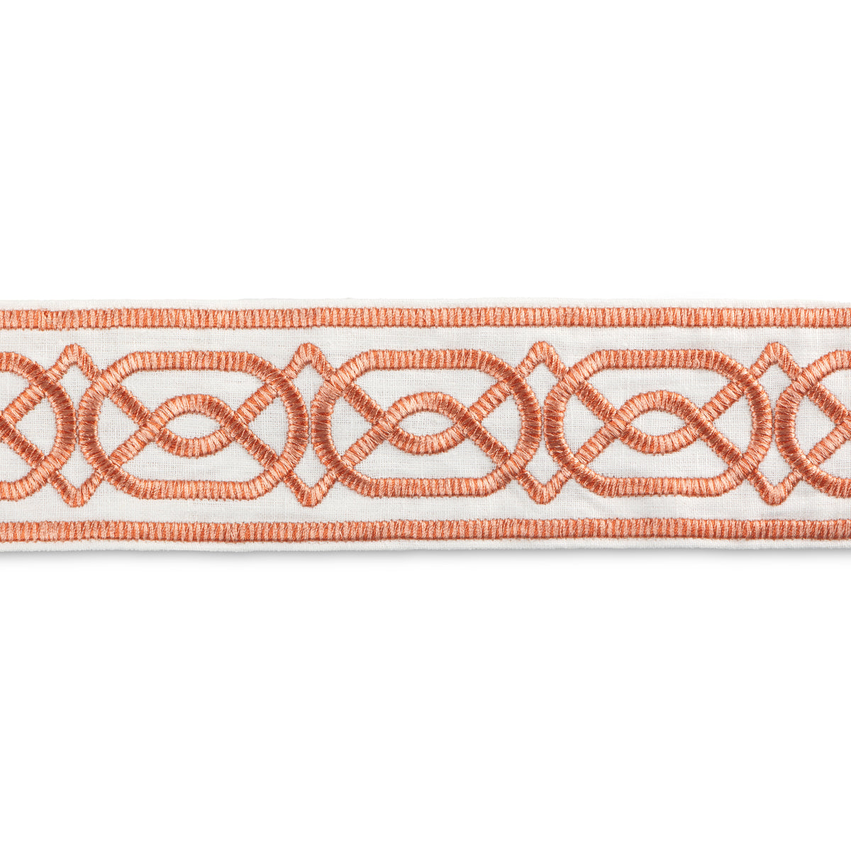 Shire Emb Tape Trim by Lee Jofa in Terra