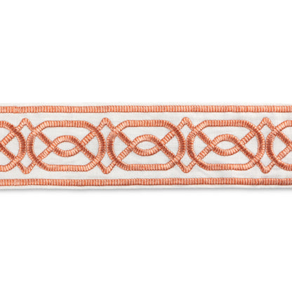 Shire Emb Tape Trim by Lee Jofa in Terra