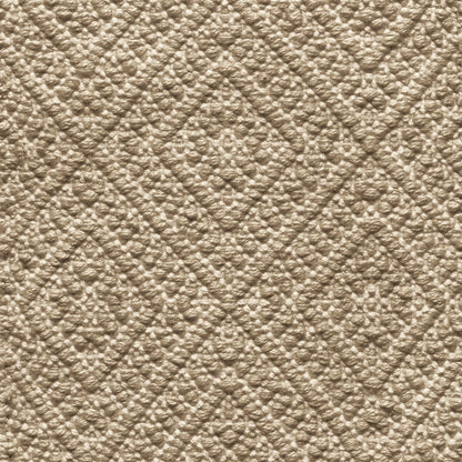 TRH-R117 rug in Parchment / Tobacco