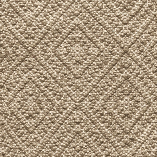 TRH-R117 rug in Parchment / Tobacco
