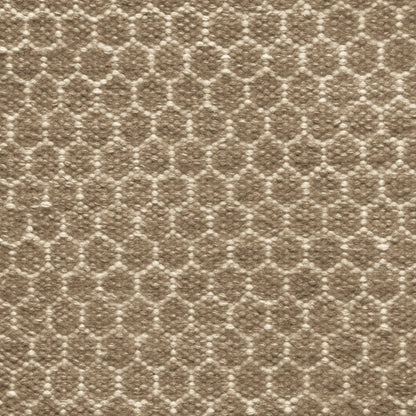 TRH-R126 rug in Parchment / Tobacco