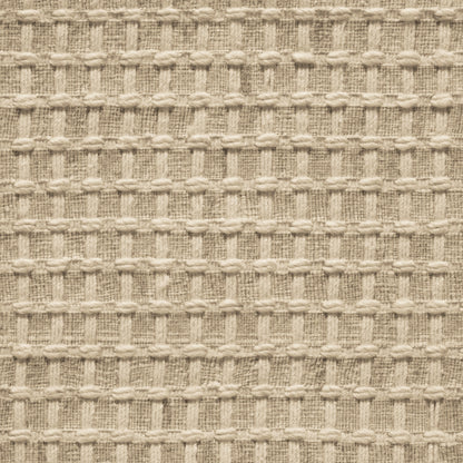TRH-R35 rug in Oatmeal / Sand