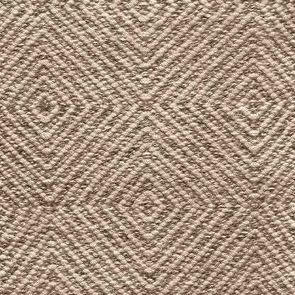 TRH-R48 rug in Parchment / Tobacco