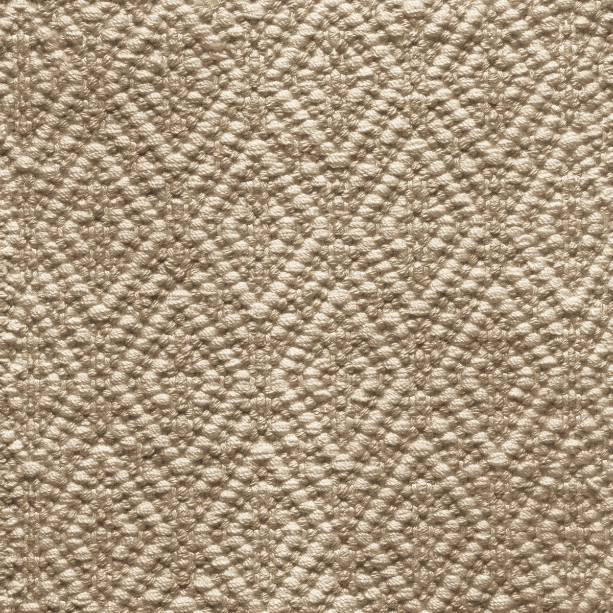TRH-R86 rug in Parchment / Tobacco