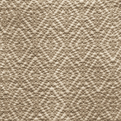 TRH-R86 rug in Parchment / Tobacco