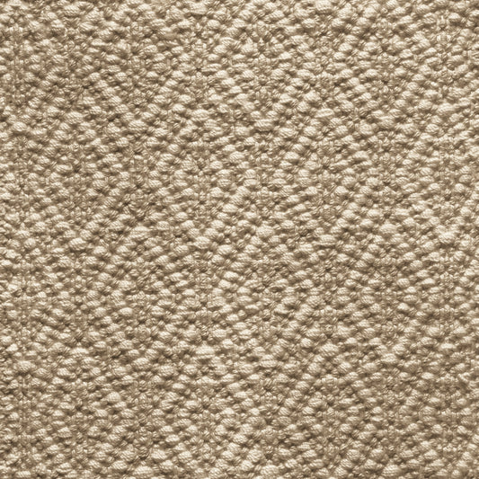 TRH-R86 rug in Parchment / Tobacco