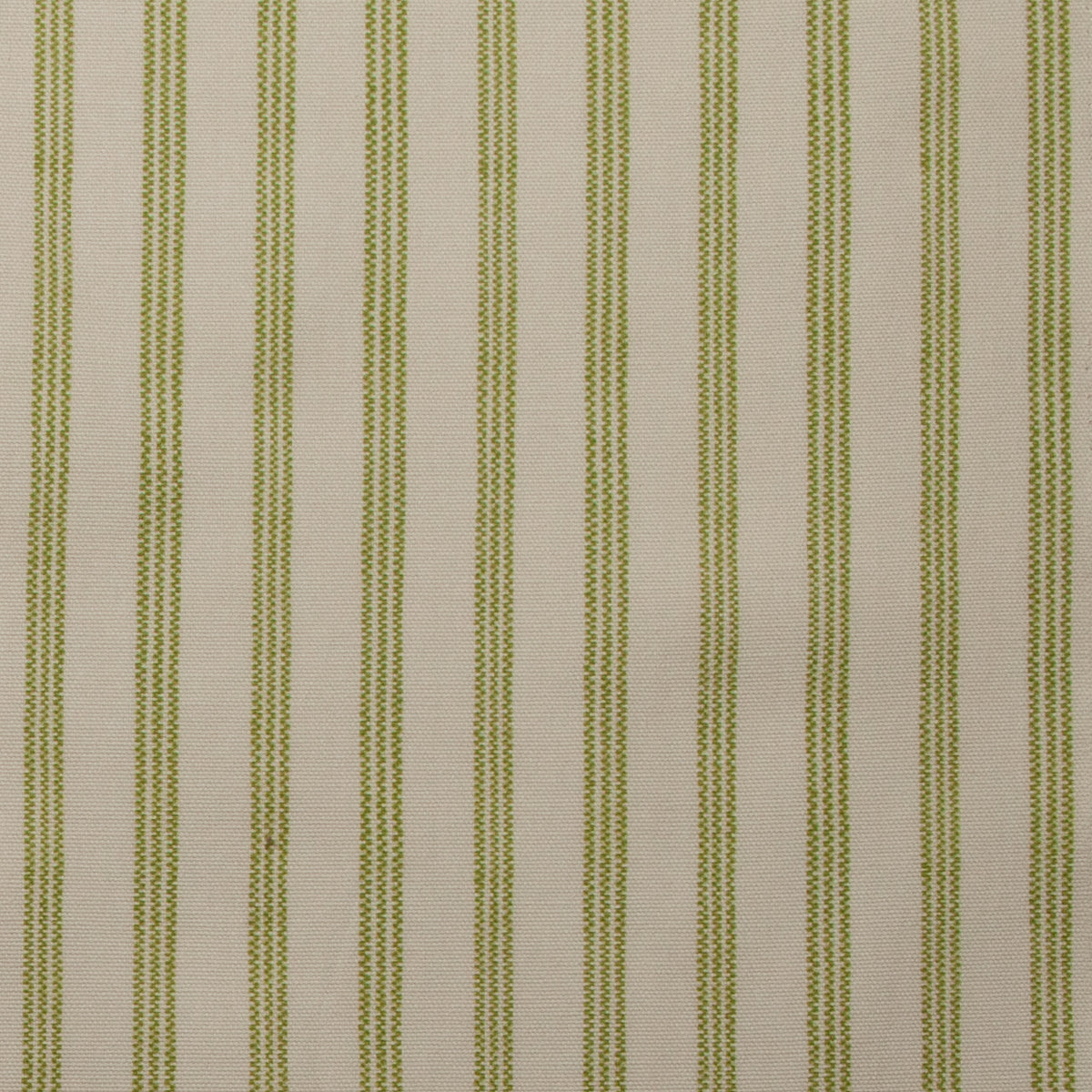 Tick Tack Fabric by Titley & Marr in Pistachio