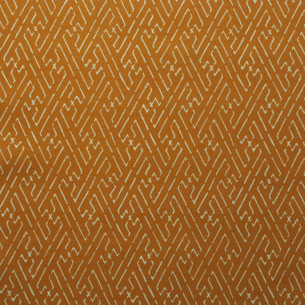 Trellis Fabric by Titley & Marr in Amber