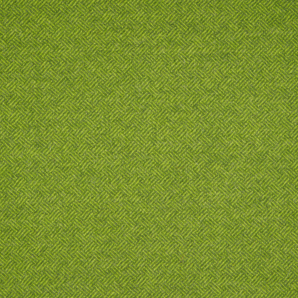 Parquet Wool Fabric by Abraham Moon Lime