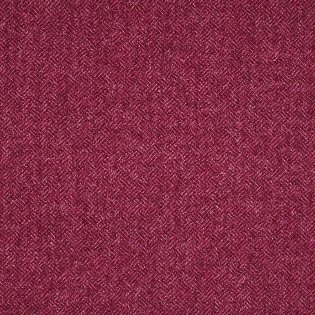 Parquet Wool Fabric by Abraham Moon Raspberry