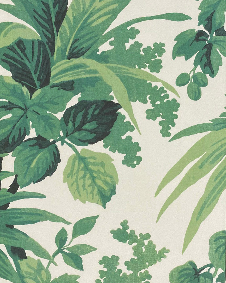 Heligan Wallpaper by Fleurons d'Hélène in Original